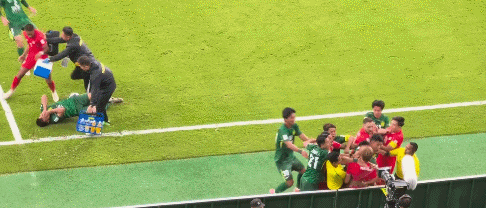 意球迷冷静 意球迷冷静